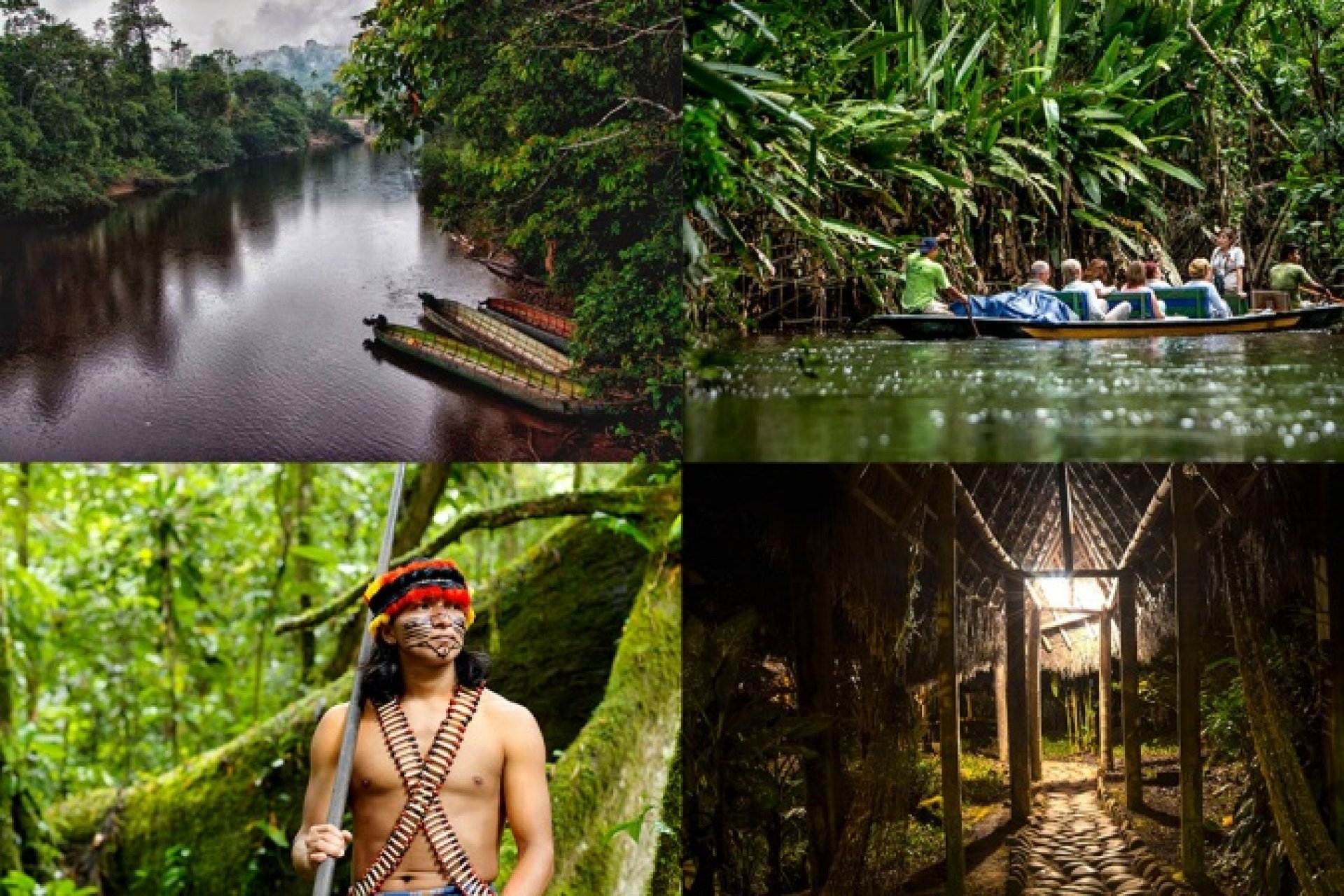 Discover the Ecuadorian Rainforest