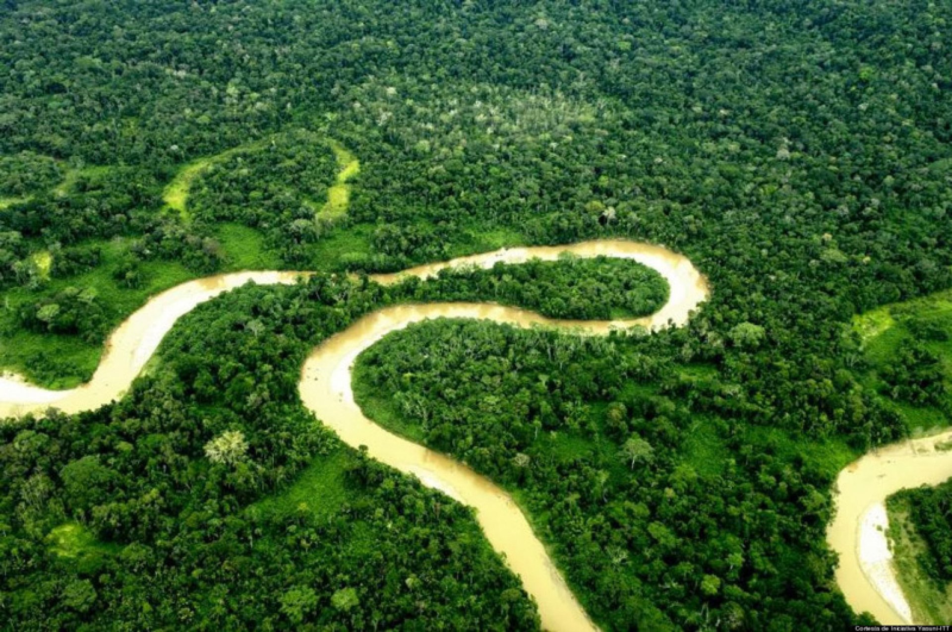 Parque Nacional Yasuní