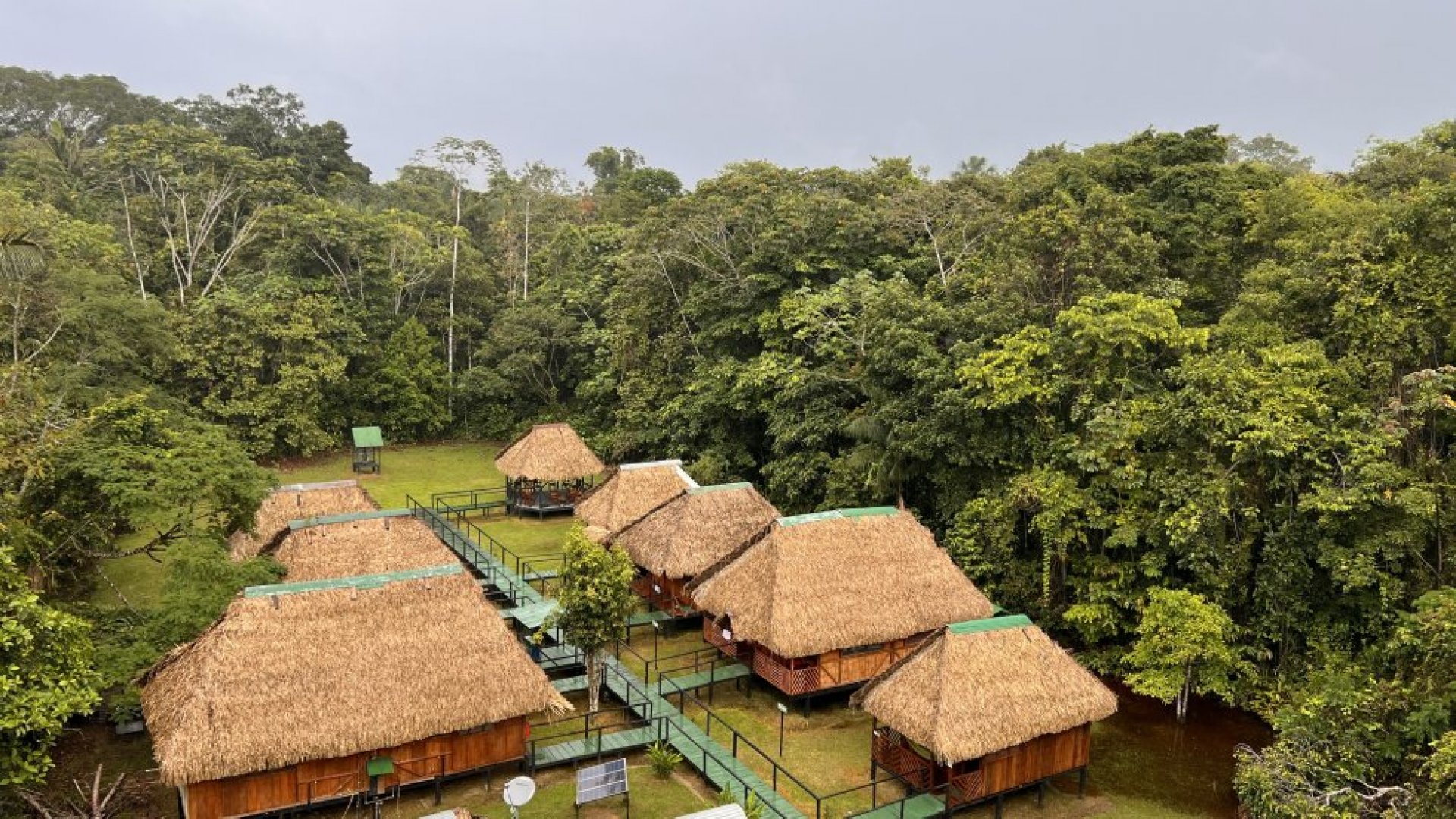 Green Forest Ecolodge - Tour 4 días / 3 noches