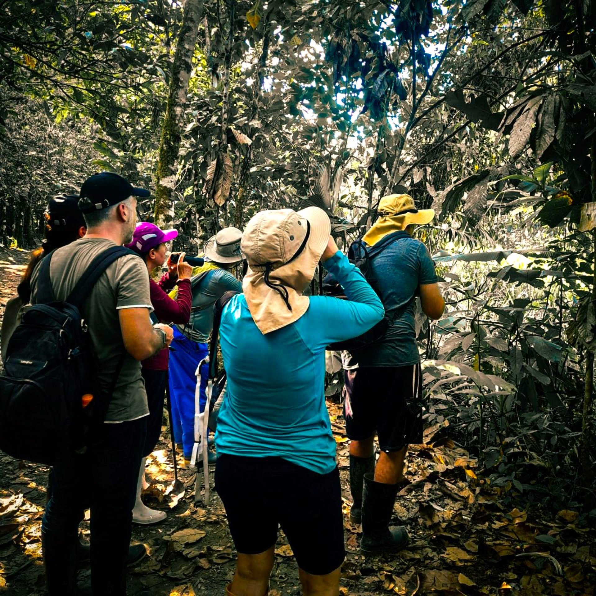  Foto Amazonia Express | 2 Días 1 Noche