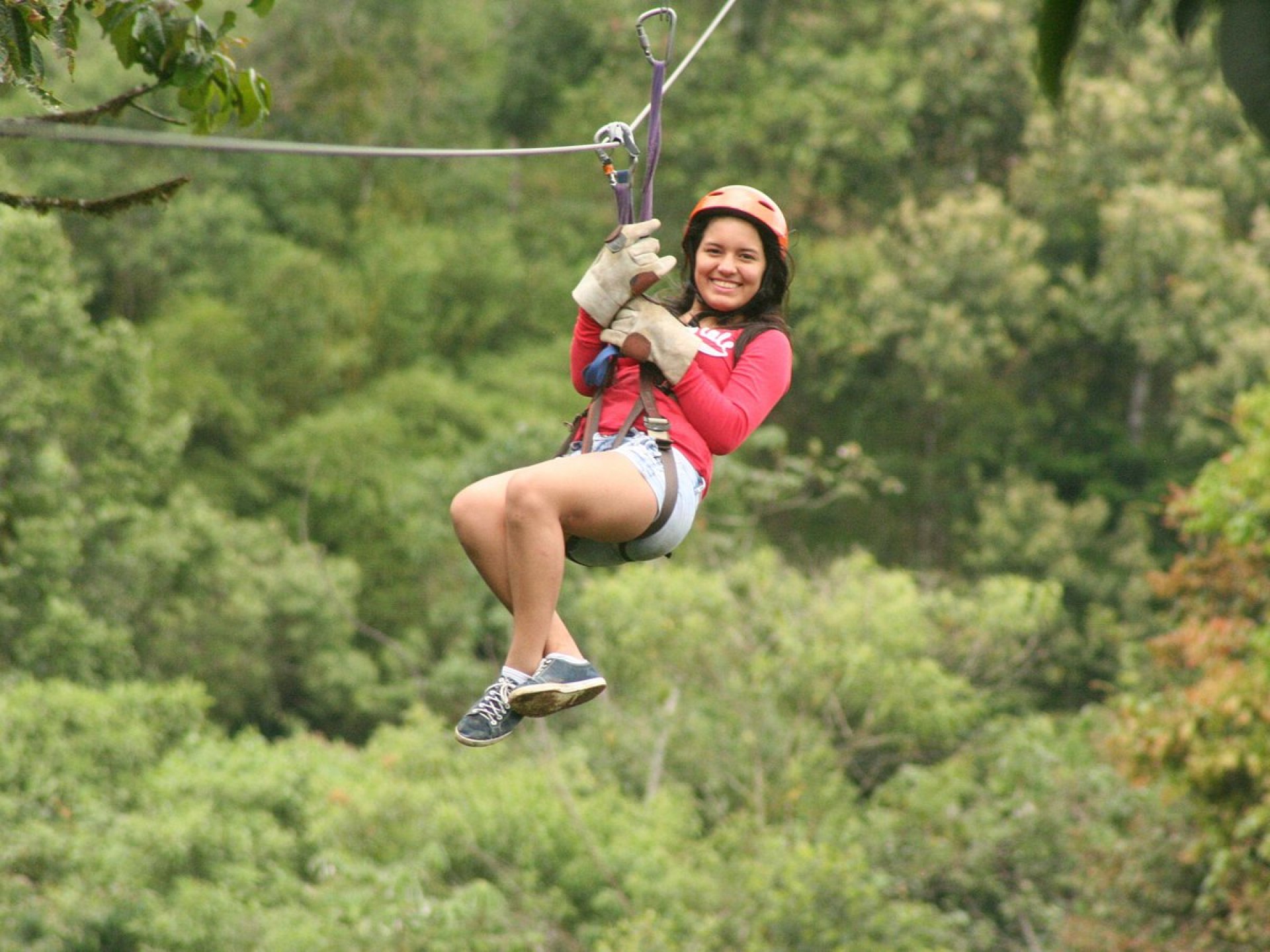  Foto Canopy Adventure - Mindo 