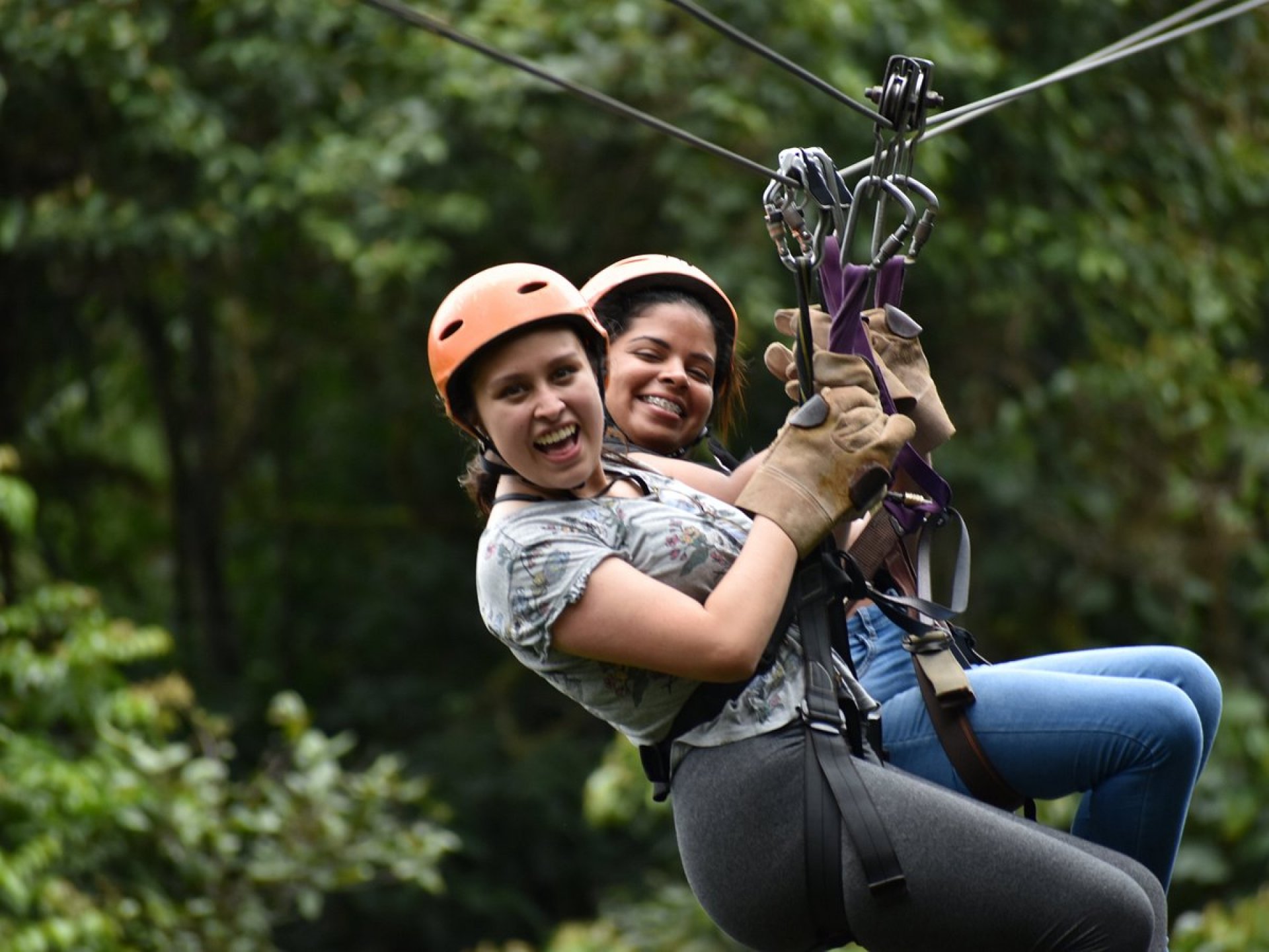 Zip Line Adventure - Mindo